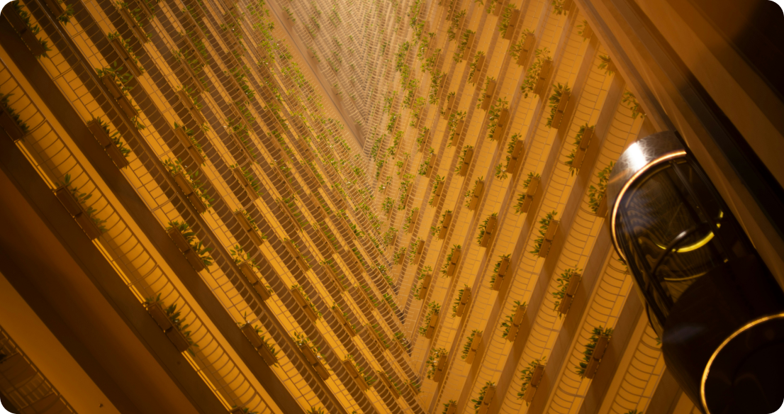 Hotel Project